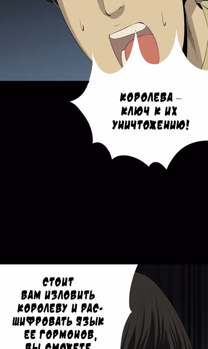 Улей — Том 1 · Глава 23, страница 17