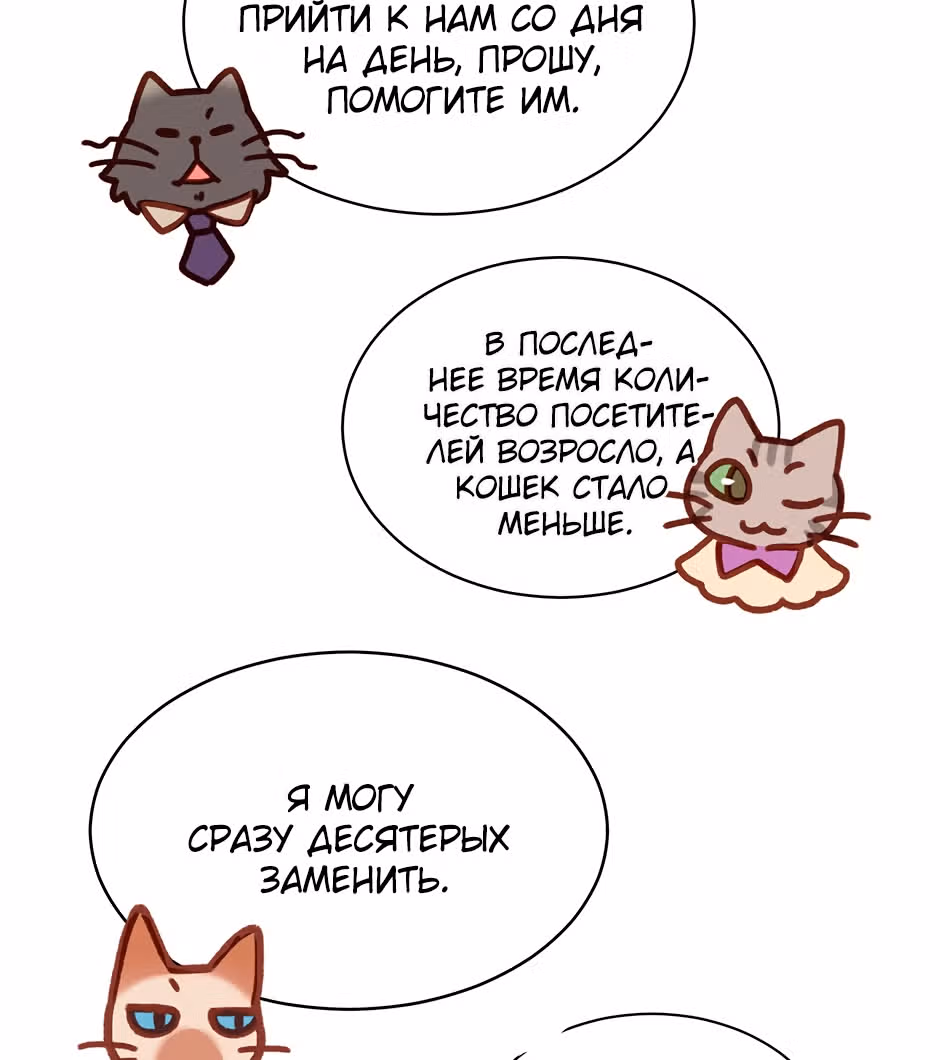 Работа в котокафе — Том 1 · Глава 4, страница 24