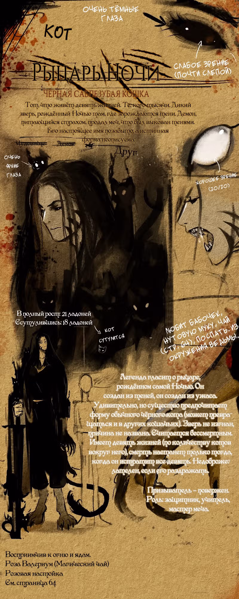 Чёрная ведьма — Том 1 · Глава 49, страница 1