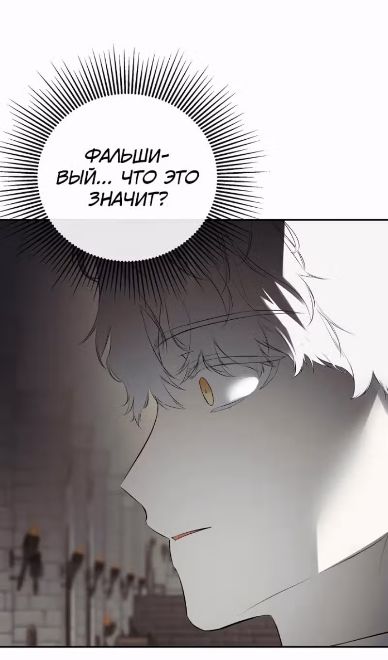 Пленница второстепенного героя — Том 2 · Глава 68, страница 65