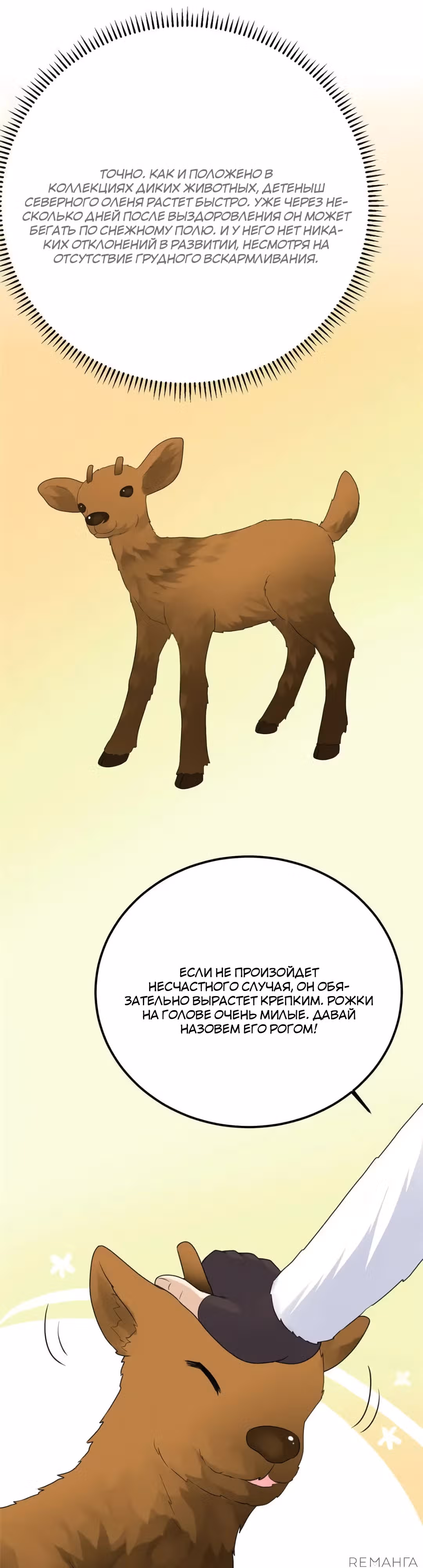 Выживание на необитаемом острове с красавицей — Том 1 · Глава 231, страница 11
