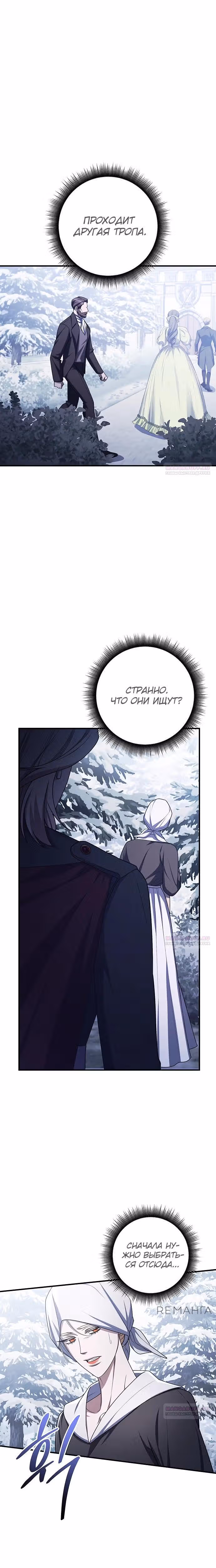 Кто похитил императрицу? — Том 1 · Глава 96, страница 12