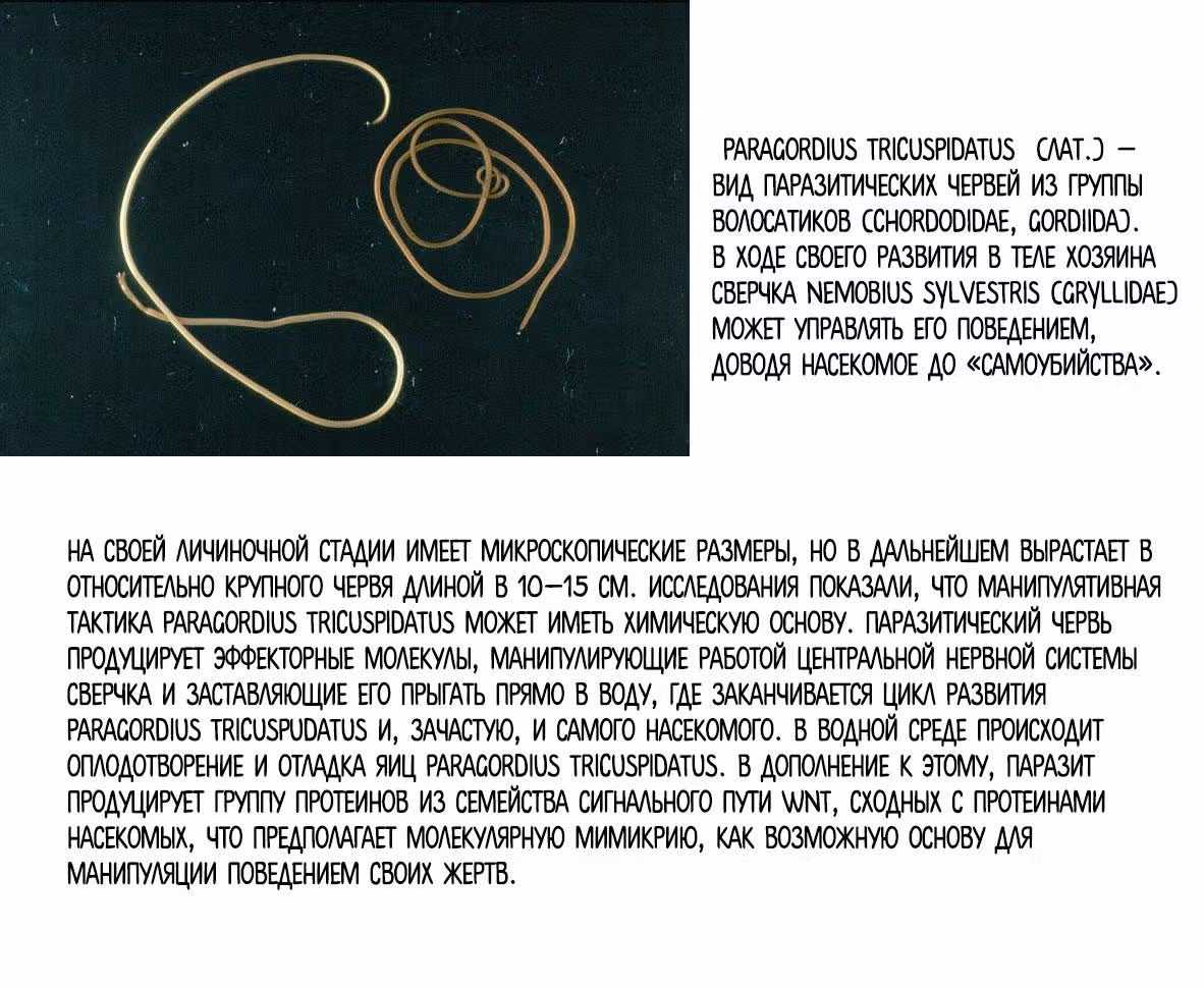 Окитенемуру — Том 1 · Глава 3, страница 22