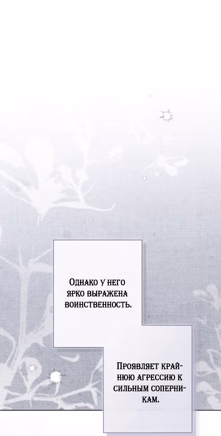 Здесь нет места фальшивкам — Том 1 · Глава 119, страница 31