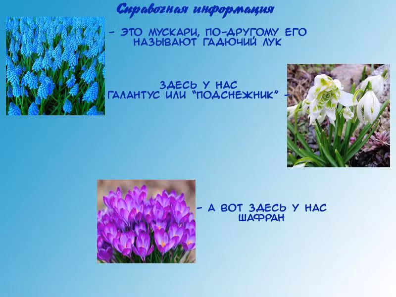 На крыльях ветра — Том 1 · Глава 13, страница 21