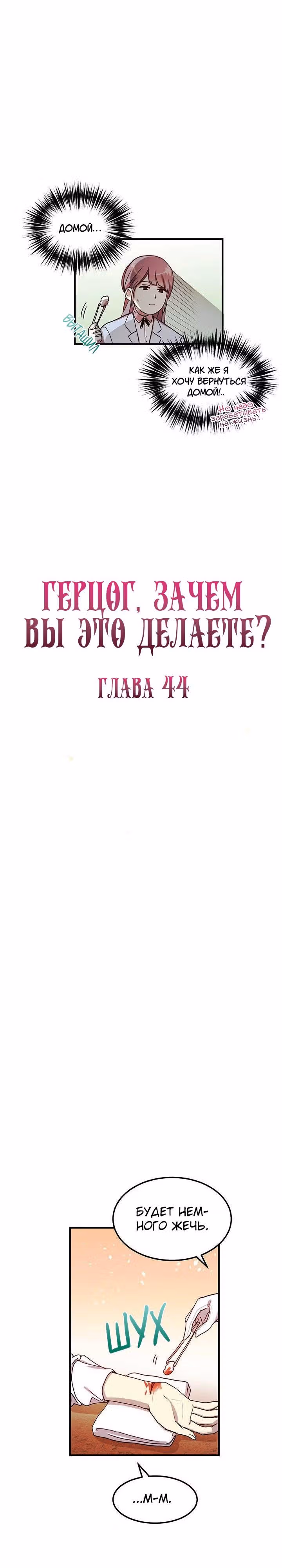 Герцог, зачем вы это делаете? — Том 1 · Глава 44, страница 3