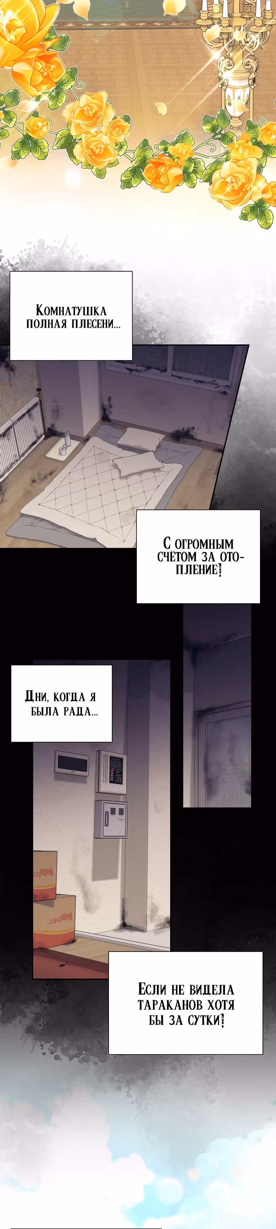 Достоинство злодейки — Том 1 · Глава 4, страница 4