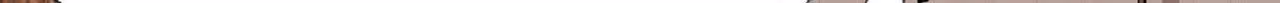 Сильнейшая система эволюции — Том 1 · Глава 44, страница 14