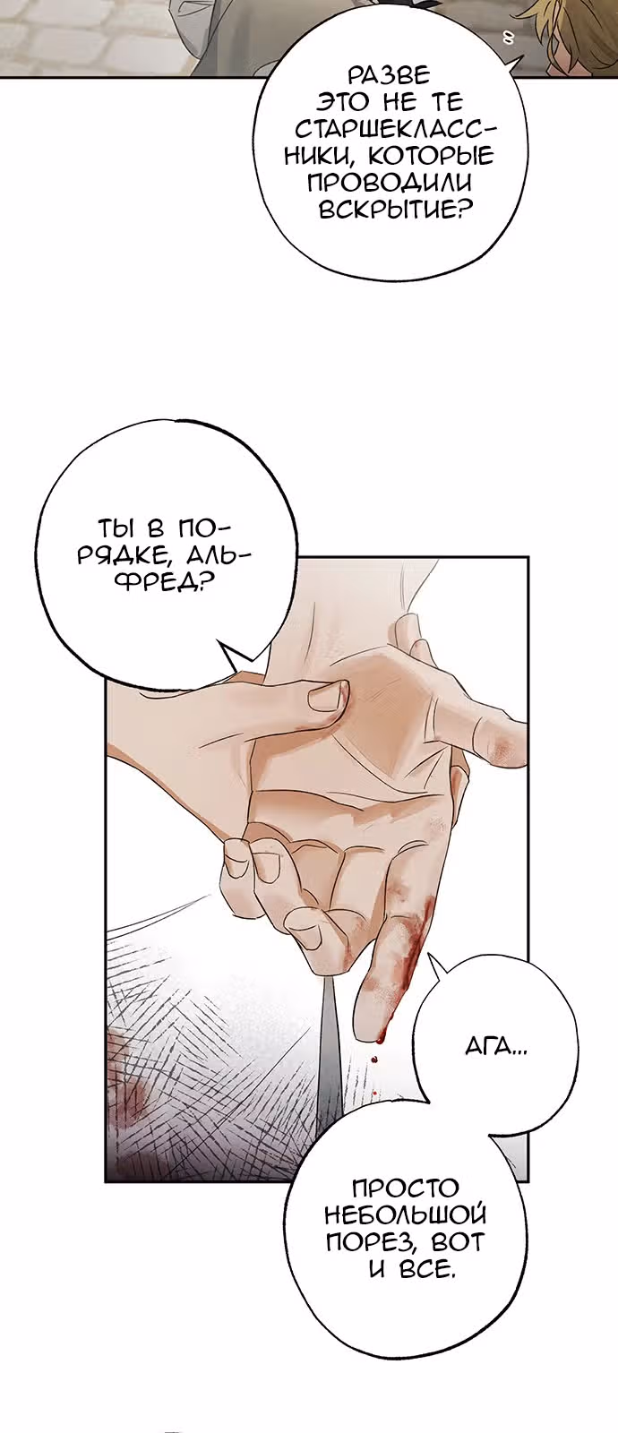 Темноволосый британский доктор — Том 1 · Глава 5, страница 49