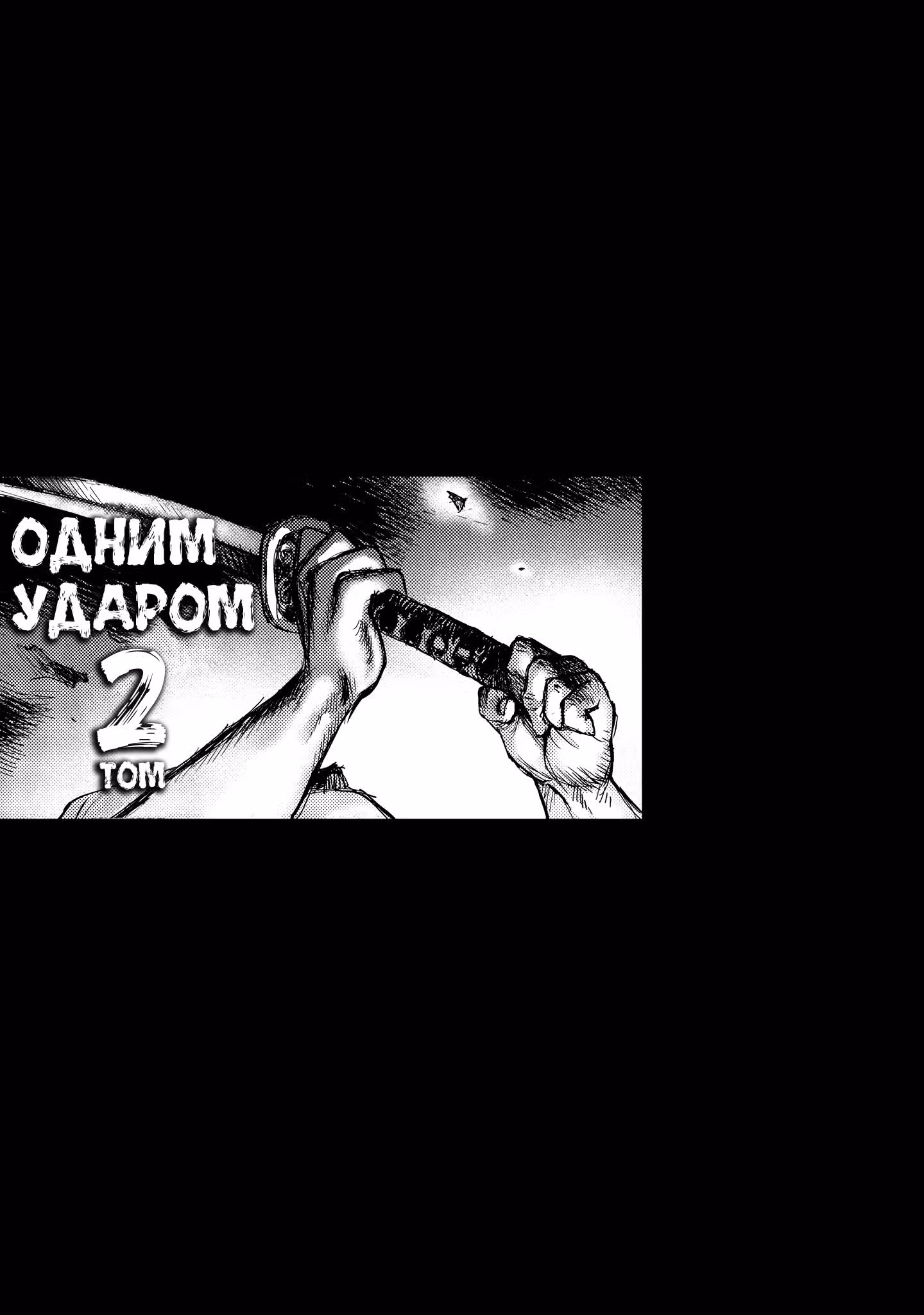 Одним ударом — Том 2 · Глава 6, страница 2