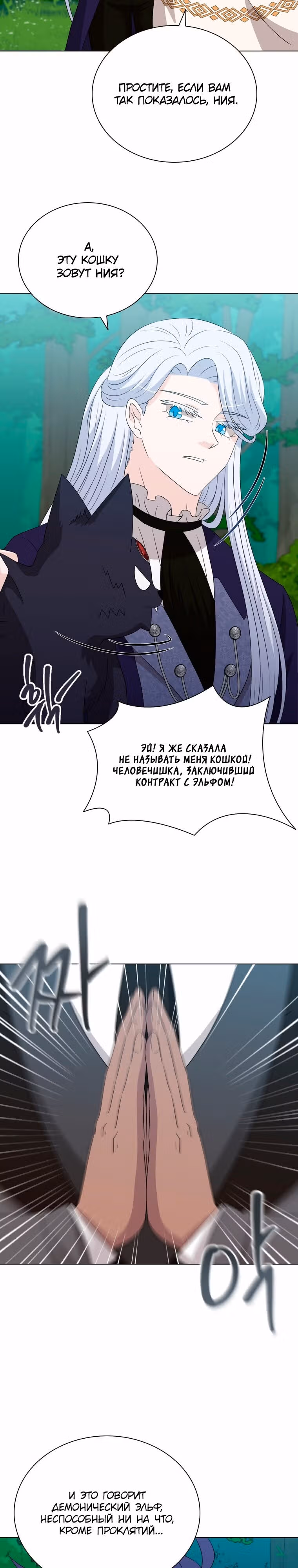 Книга Лазьера — Том 2 · Глава 74, страница 19