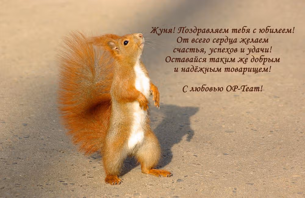 +Си: Меч и Корнет — Том 2 · Глава 11, страница 42