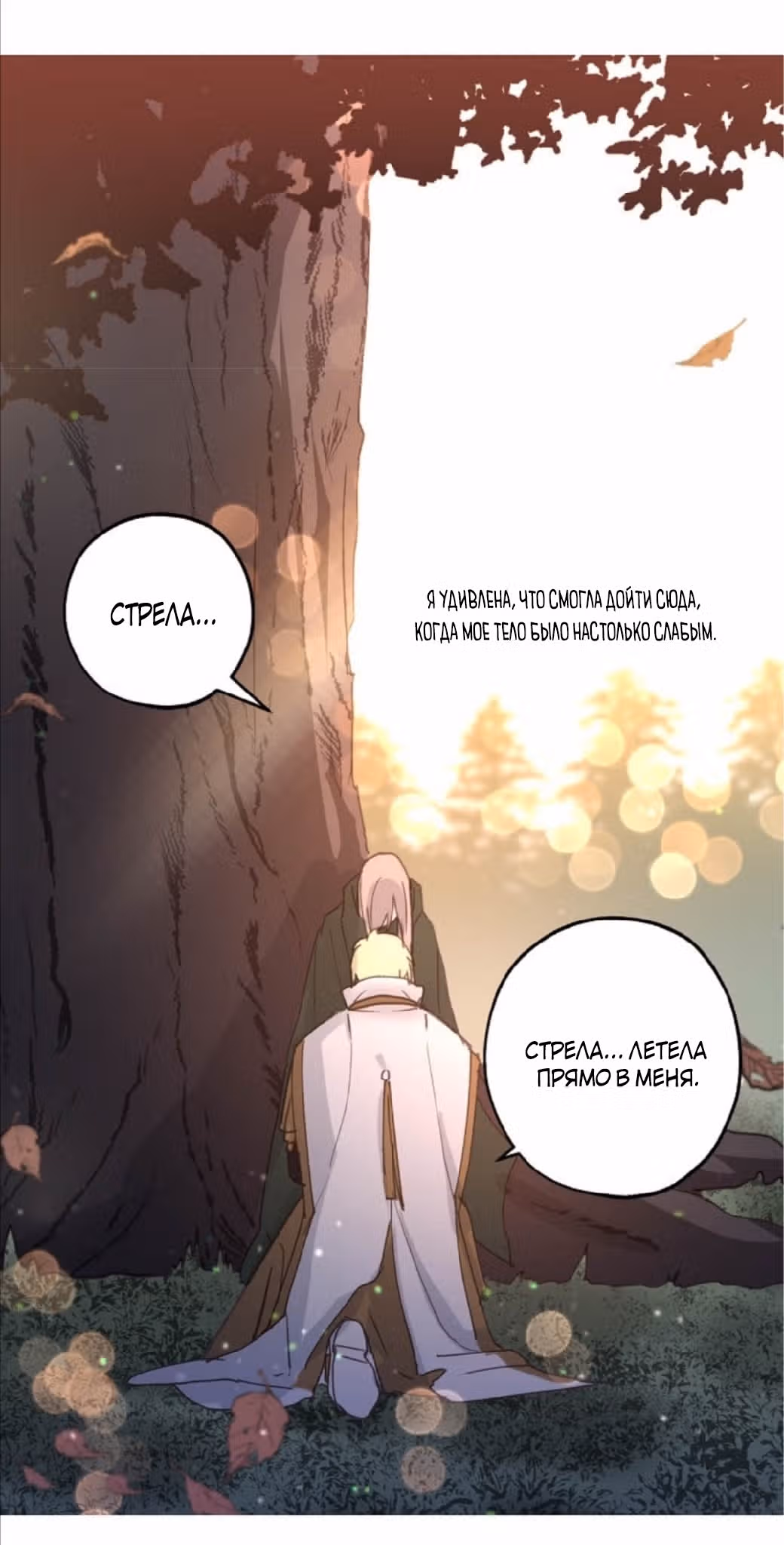 Ложное признание — Том 1 · Глава 17, страница 6