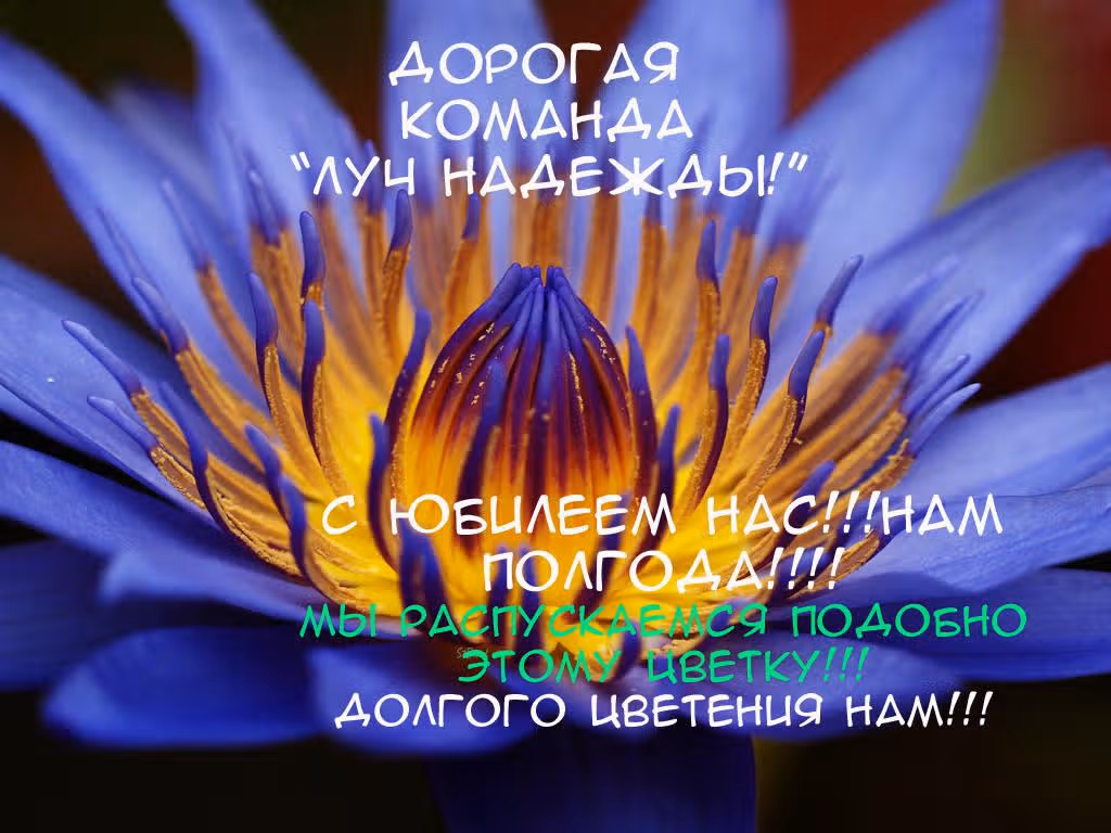 Хана-кун — тот, кого я люблю — Том 1 · Глава 3, страница 40