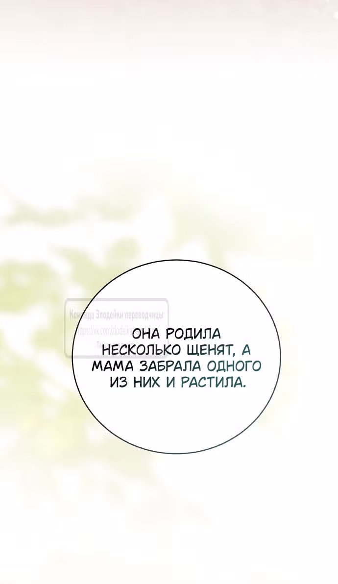 Я отказываюсь от титула императрицы — Том 1 · Глава 115, страница 51