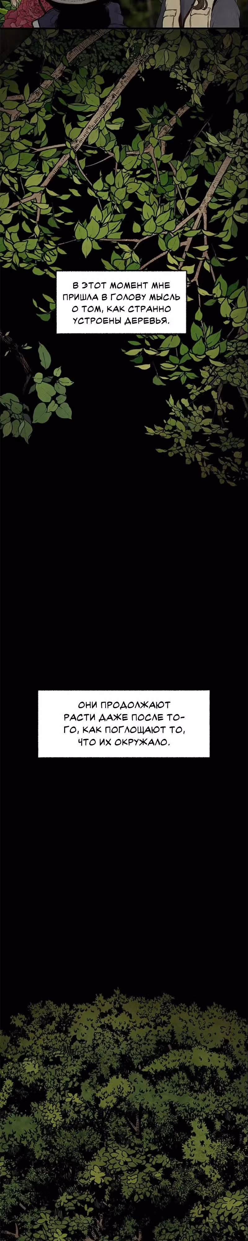 Сумрачный сад — Том 1 · Глава 0, страница 6