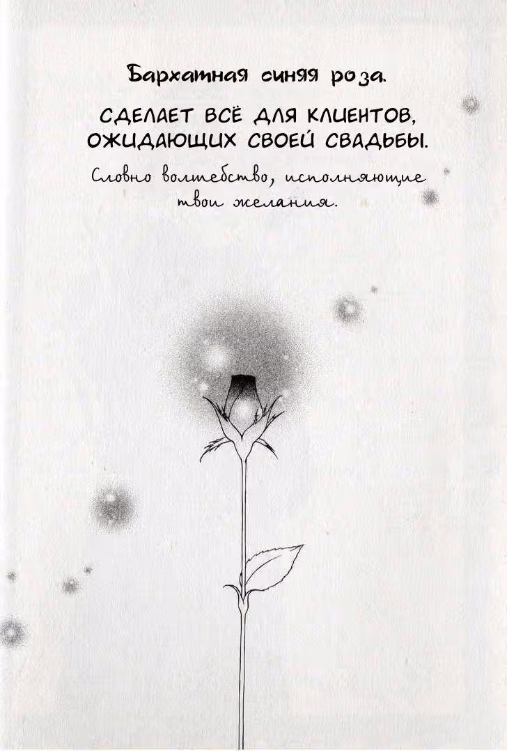 Бархатная синяя Роза — Том 4 · Глава 18, страница 5