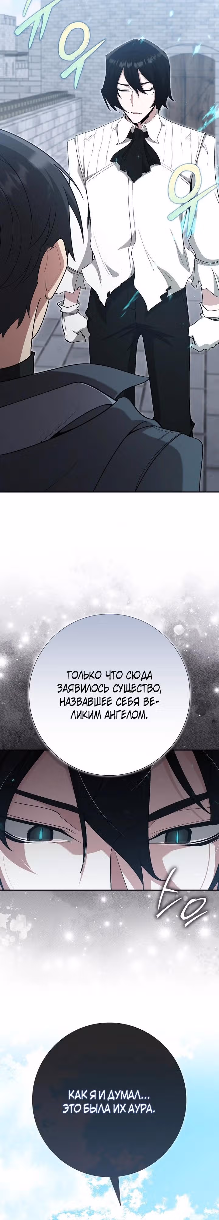 Игрок максимального уровня — Том 1 · Глава 117, страница 29