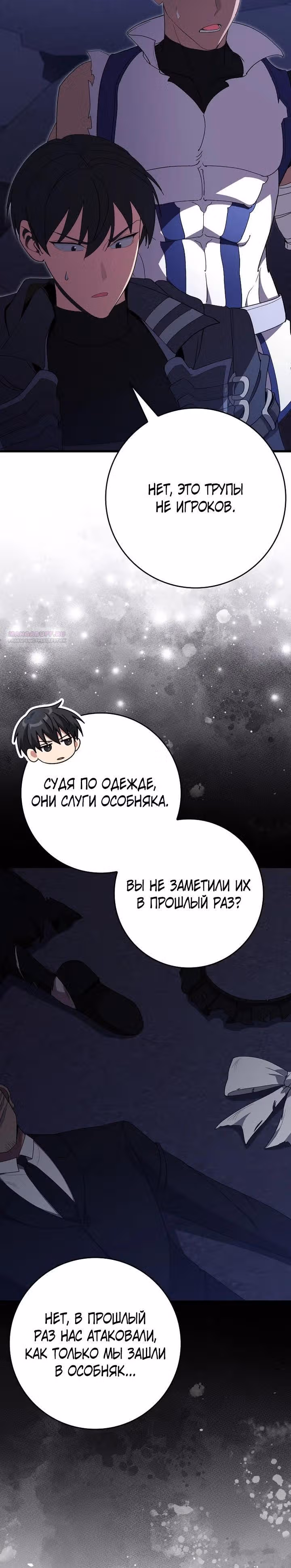 Игрок максимального уровня — Том 1 · Глава 115, страница 10