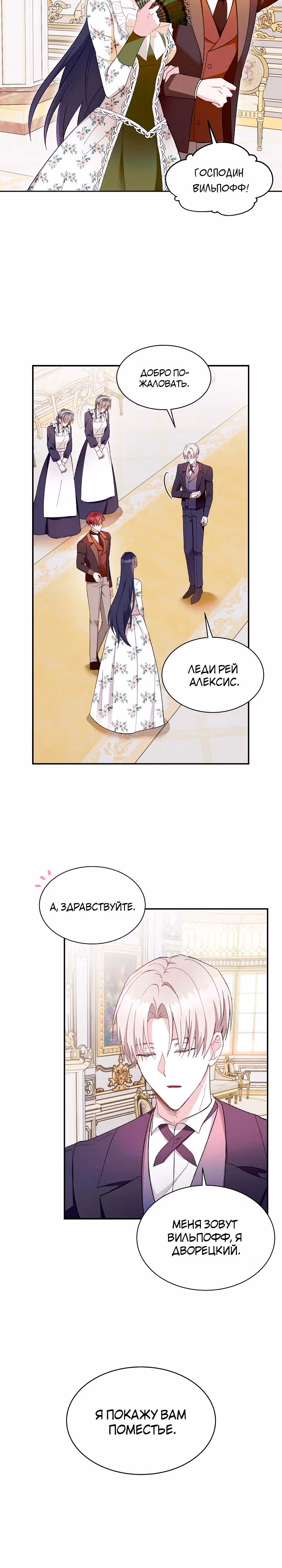 Обстоятельства развода герцога и герцогини — Том 1 · Глава 9, страница 12