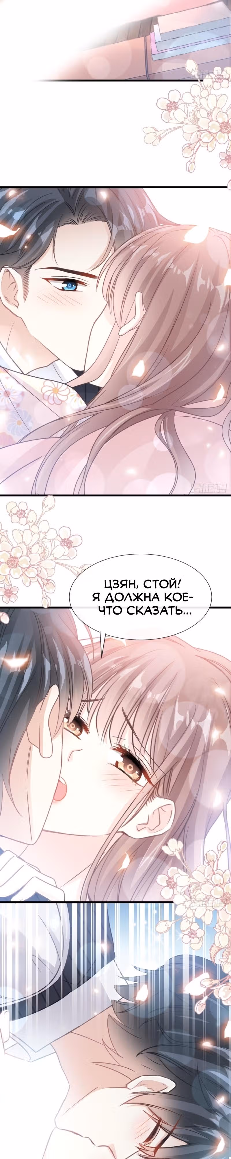Властный президент слегка любит — Том 1 · Глава 61, страница 2