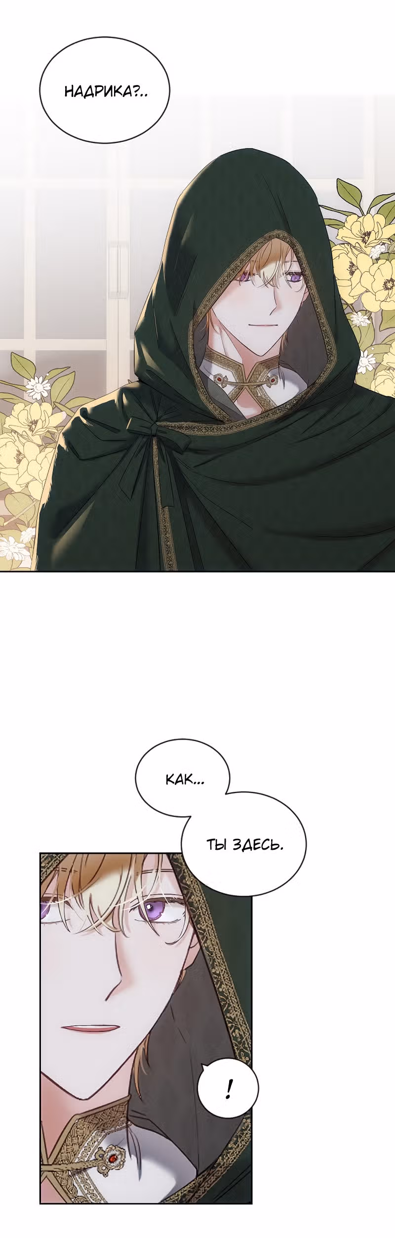Кажется, я попала в мир игры-гаремника — Том 2 · Глава 68, страница 22