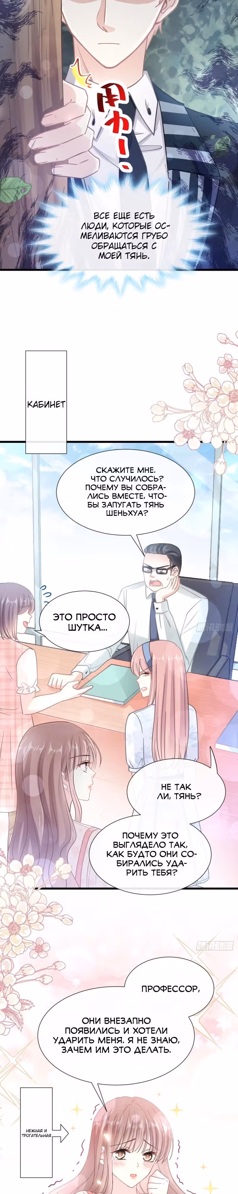 Властный президент слегка любит — Том 1 · Глава 70, страница 4