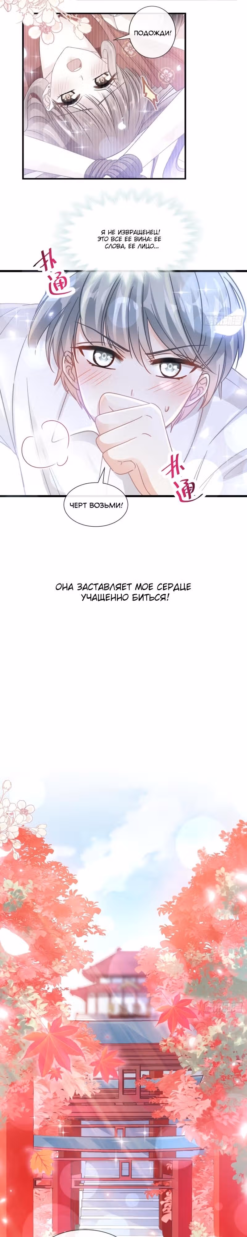Властный президент слегка любит — Том 1 · Глава 96, страница 1
