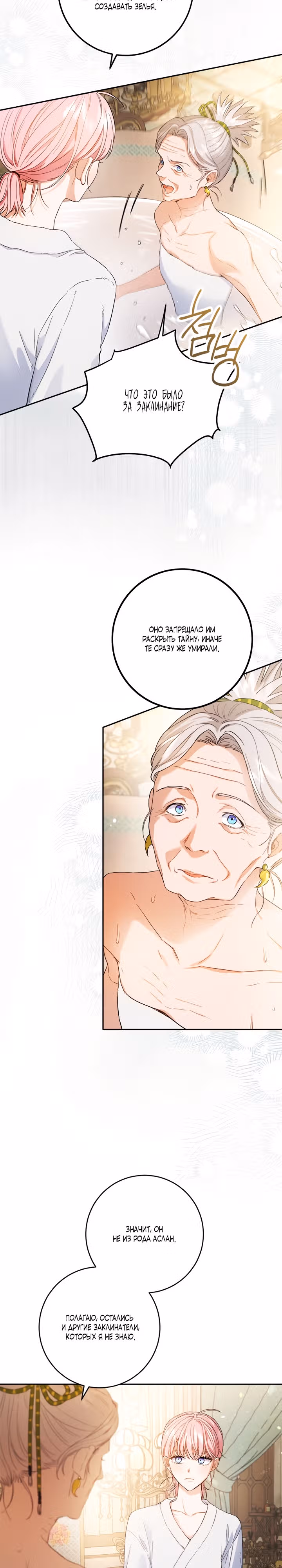 Двойная жизнь принцессы — Том 2 · Глава 70, страница 13