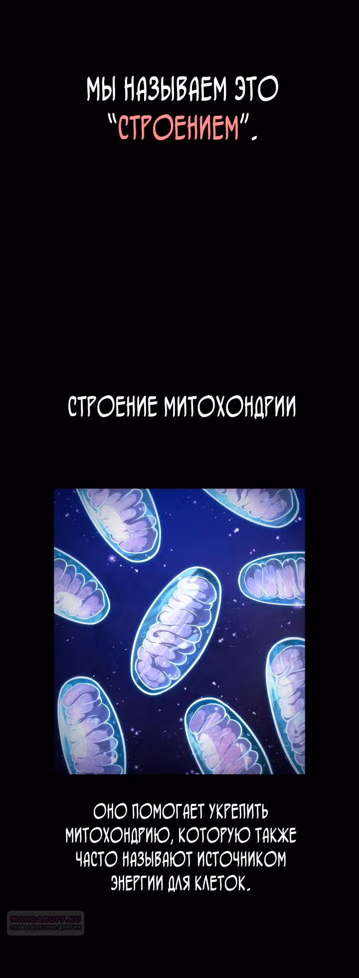 Безграничный маг — Том 1 · Глава 76, страница 22