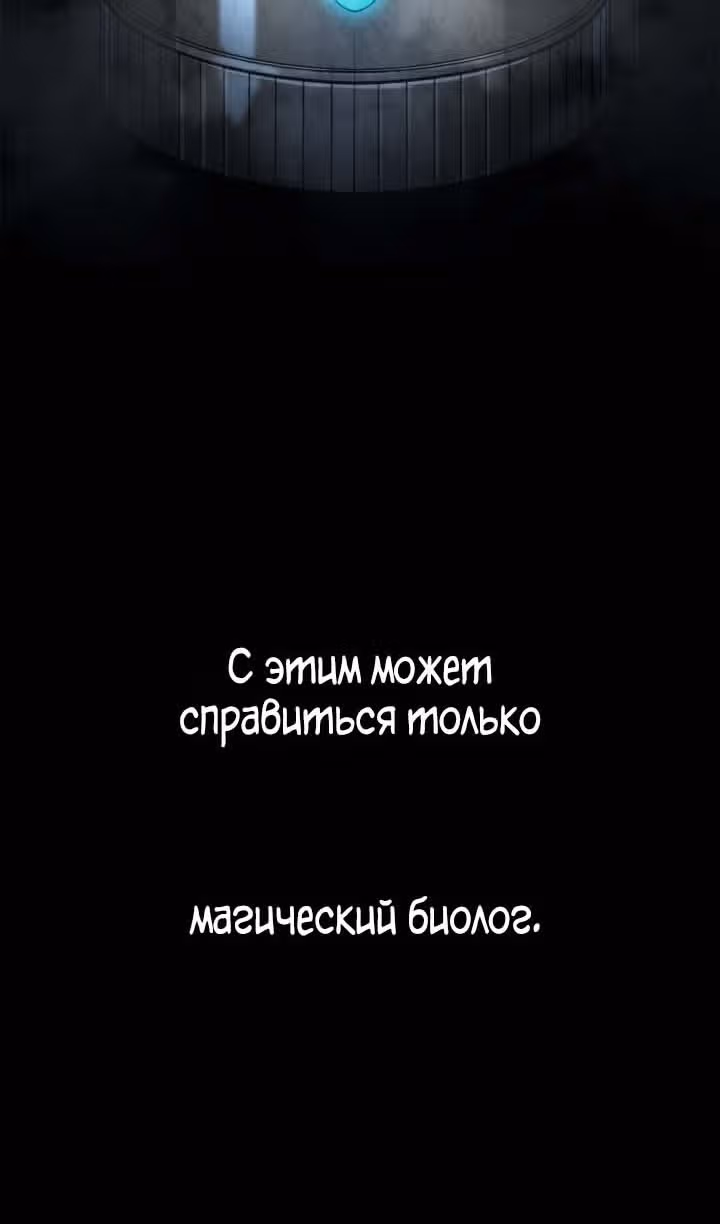 Безграничный маг — Том 1 · Глава 75, страница 19