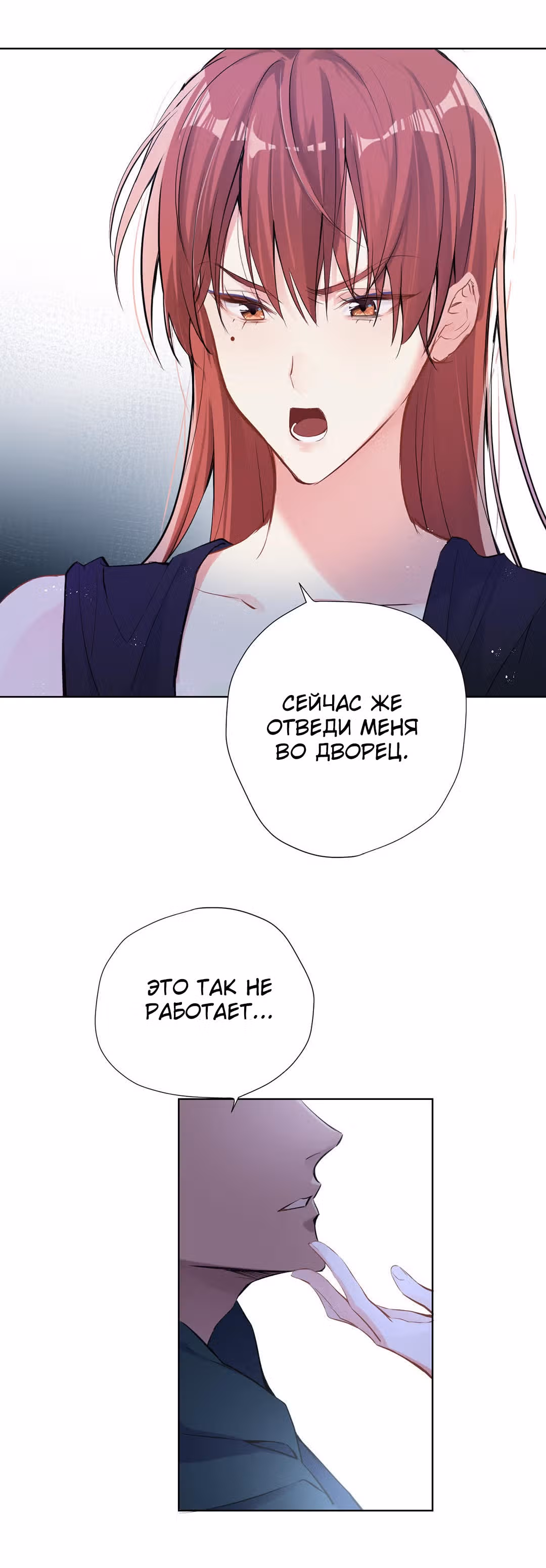 Войны принцесс — Том 2 · Глава 39, страница 14