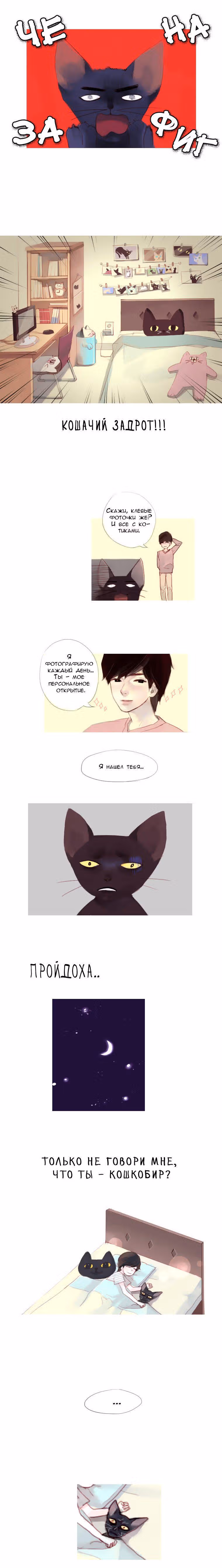 Кошачья парочка — Том 1 · Глава 9, страница 15