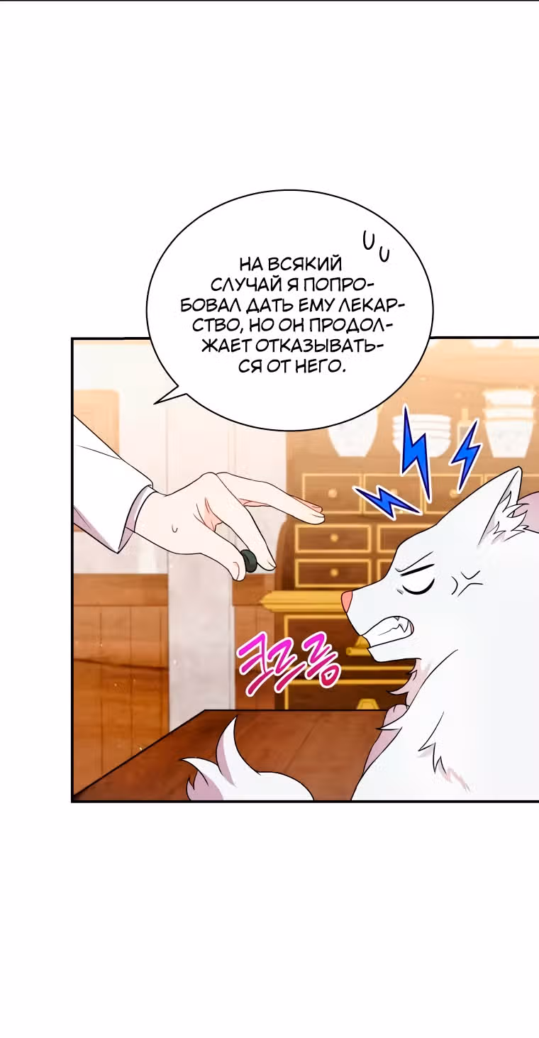 Я стала укротительницей зверей — Том 1 · Глава 14, страница 22