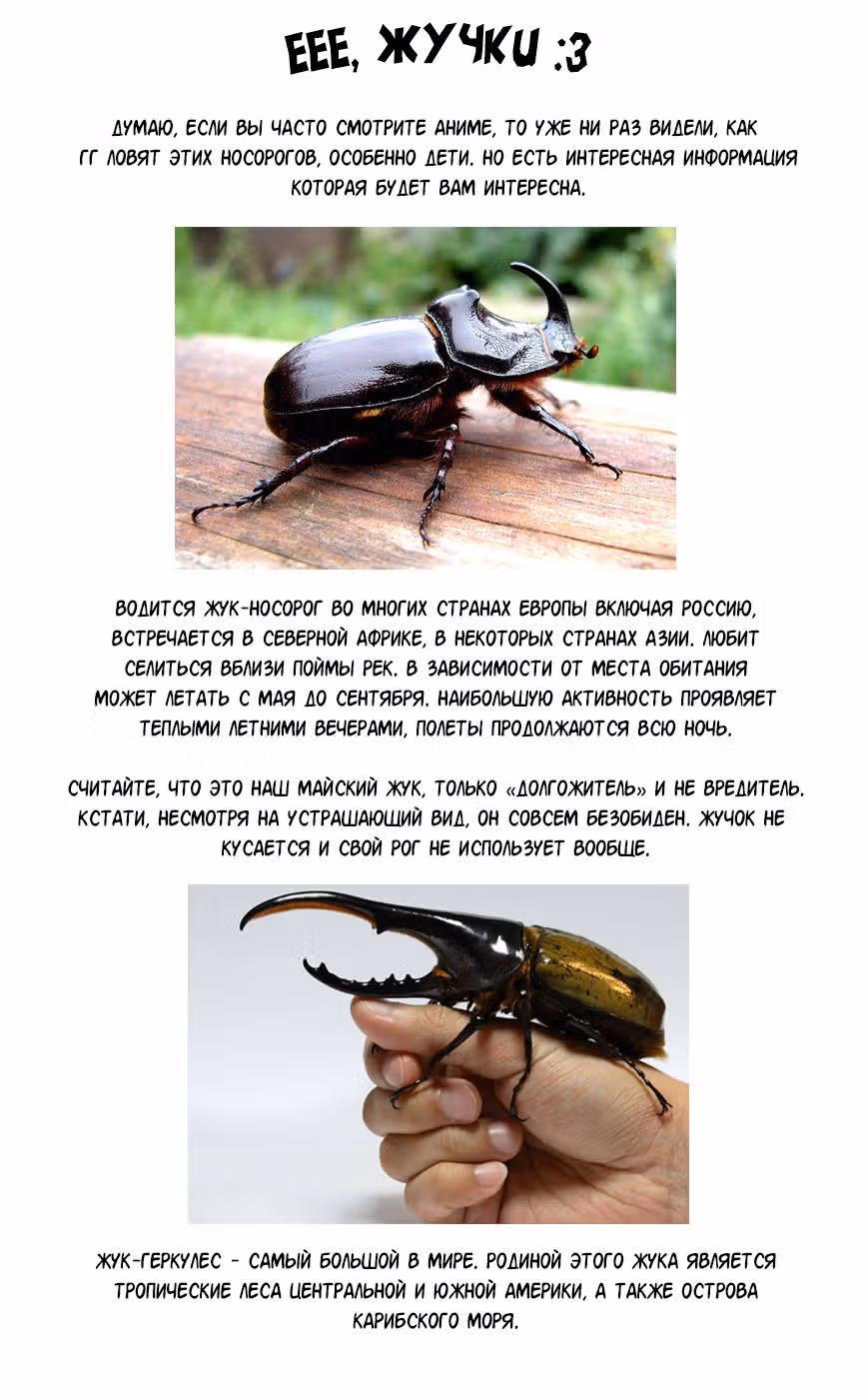 Какусигото — Том 3 · Глава 16, страница 5