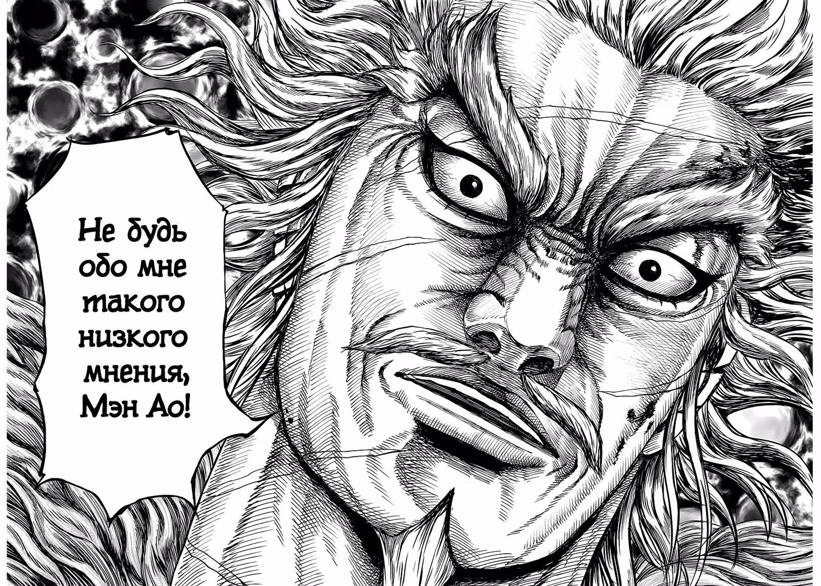 Царство — Том 22 · Глава 236, страница 13