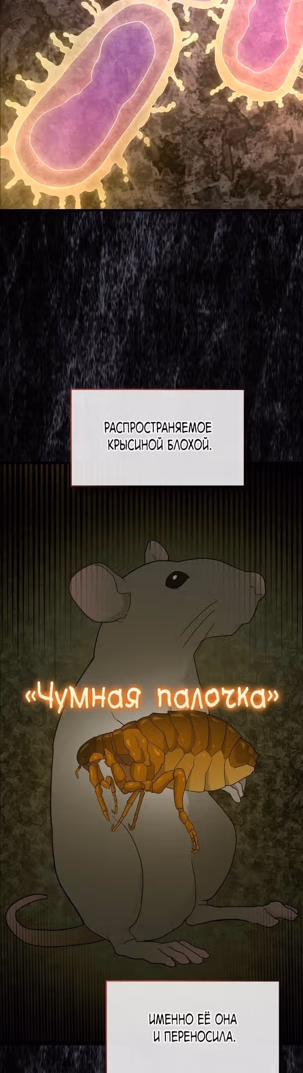 Я не святой, а доктор! — Том 2 · Глава 71, страница 20