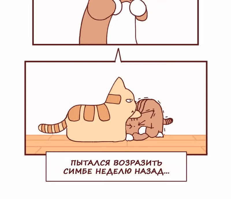 Софи: одноглазая кошка — Том 1 · Глава 104, страница 11