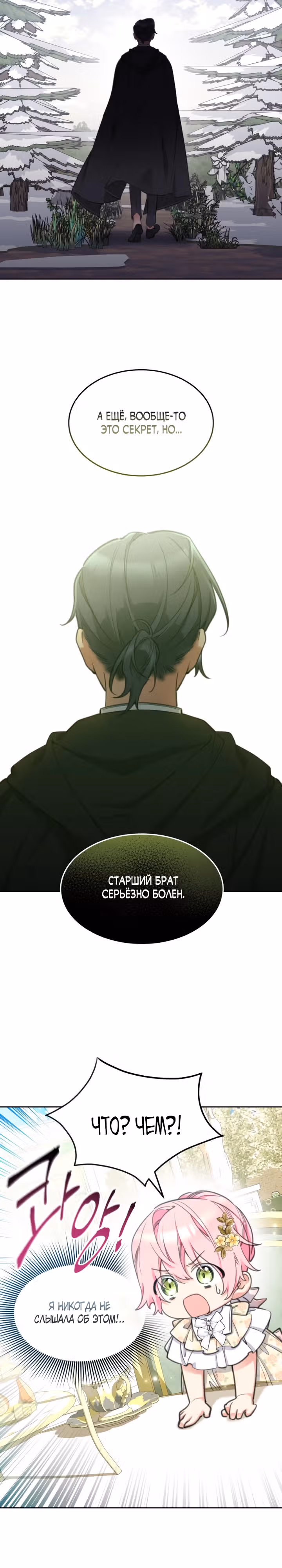 Принцесса-лотерея — Том 1 · Глава 46, страница 11