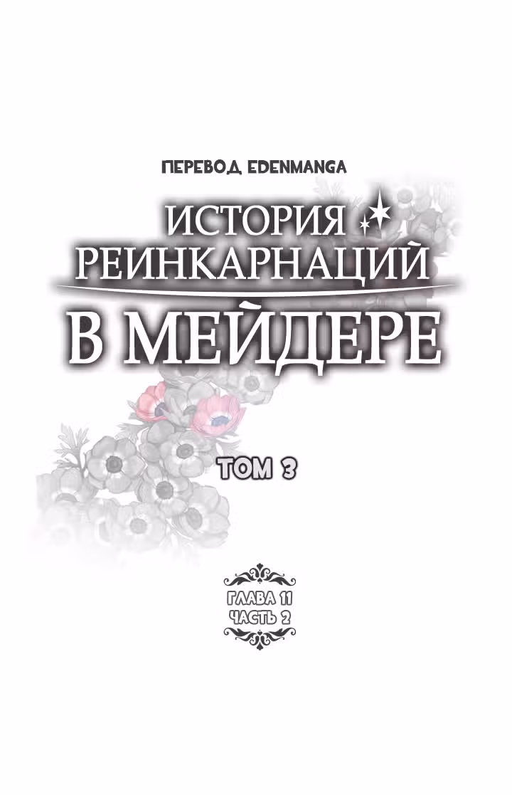 История реинкарнаций в Мейдере — Том 3 · Глава 11.2, страница 2