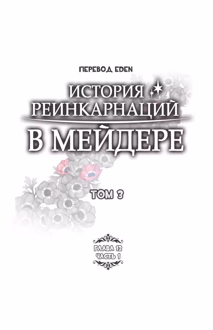 История реинкарнаций в Мейдере — Том 3 · Глава 12.1, страница 3