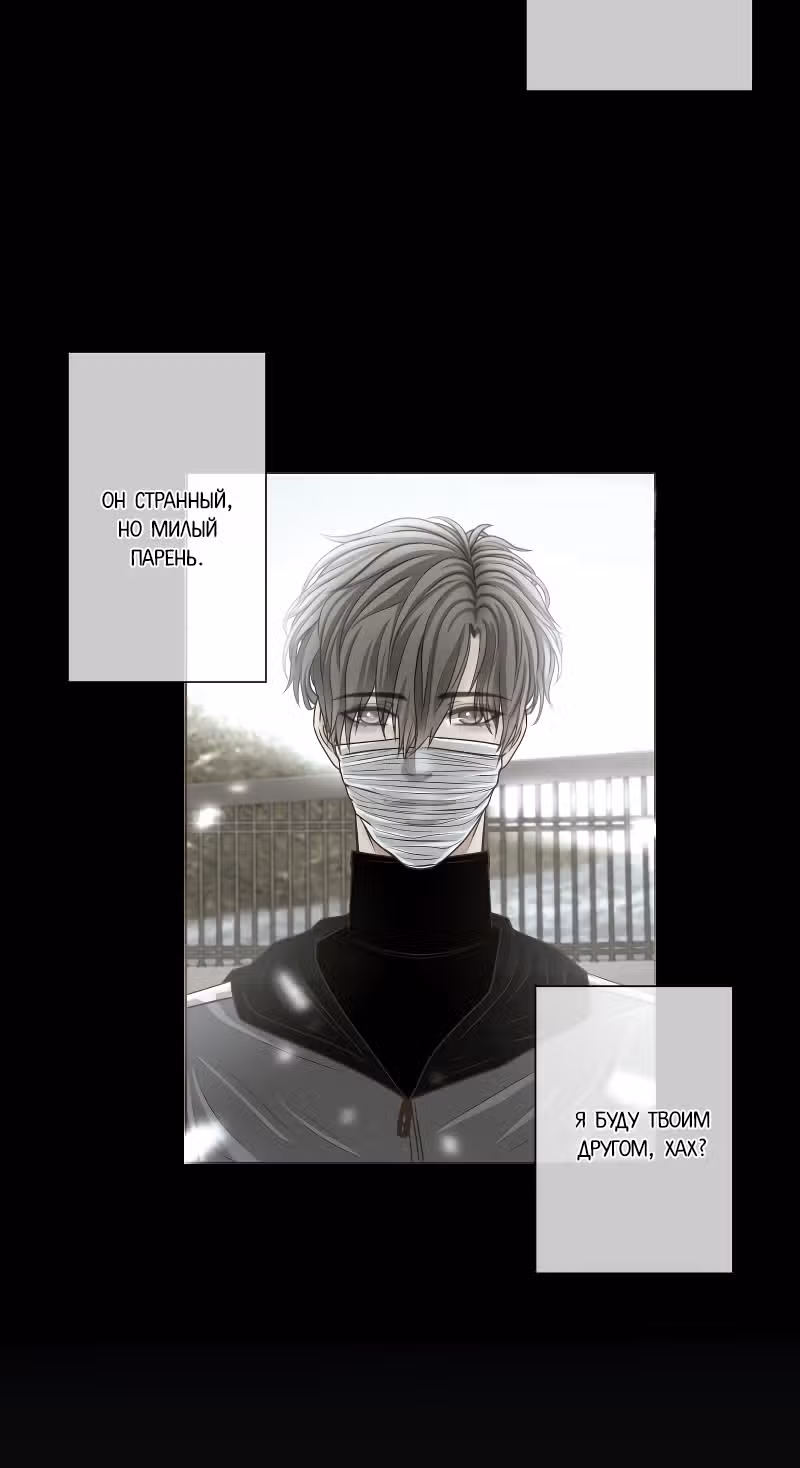 Цереус — Том 1 · Глава 6, страница 17