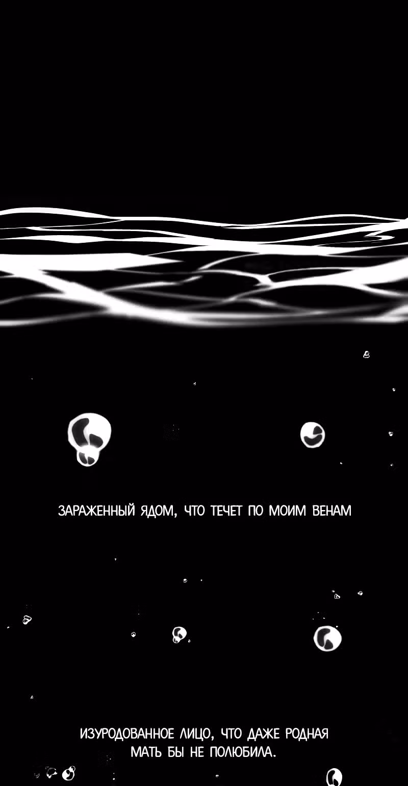 Цереус — Том 1 · Глава 8, страница 29