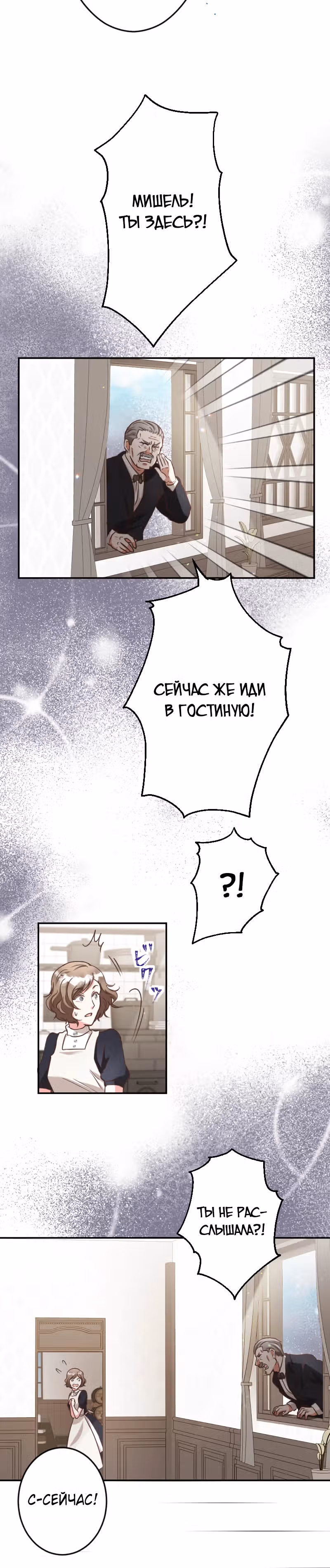 Брак графини Мишель — Том 1 · Глава 4, страница 25