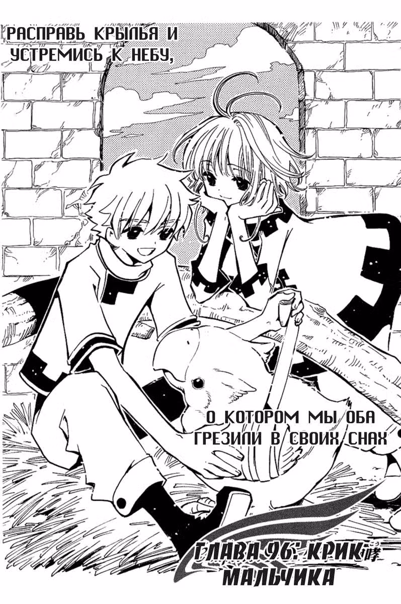 Хроника крыльев — Том 13 · Глава 96, страница 1