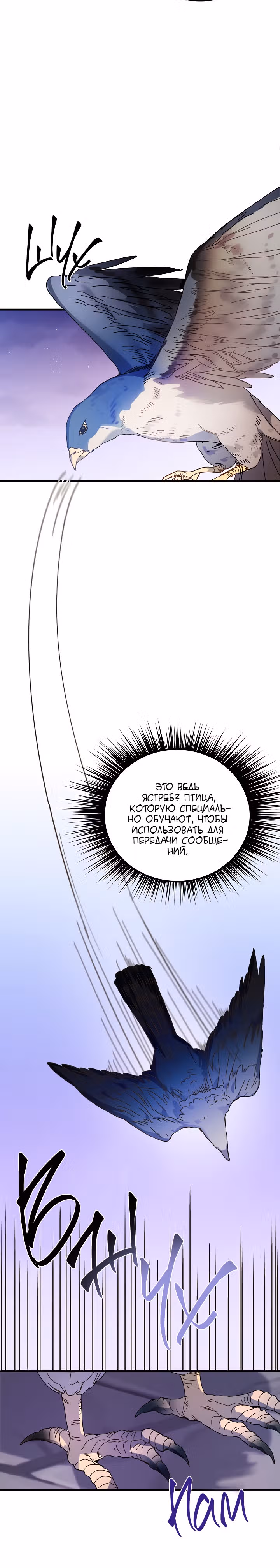 Принцесса притворяется сумасшедшей — Том 1 · Глава 20, страница 13