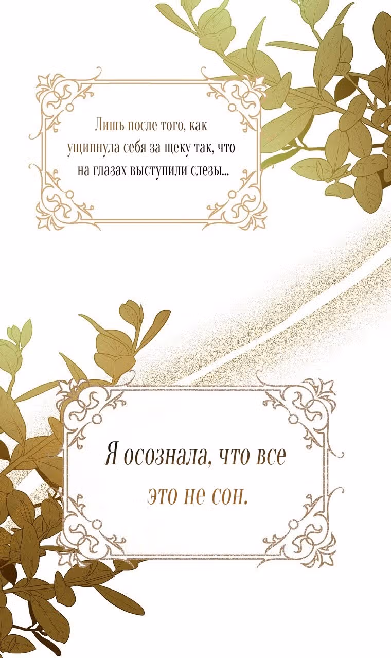 Мужские персонажи были украдены статисткой — Том 1 · Глава 2, страница 6