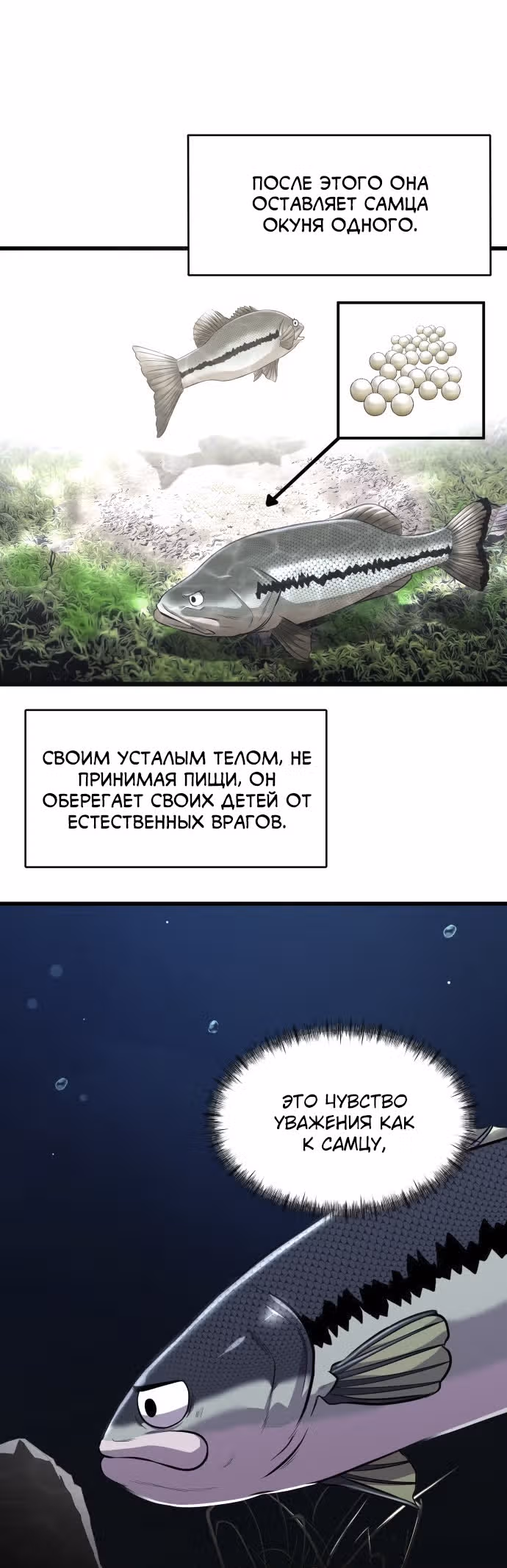 Выживание в качестве Рыбы — Том 1 · Глава 3, страница 23
