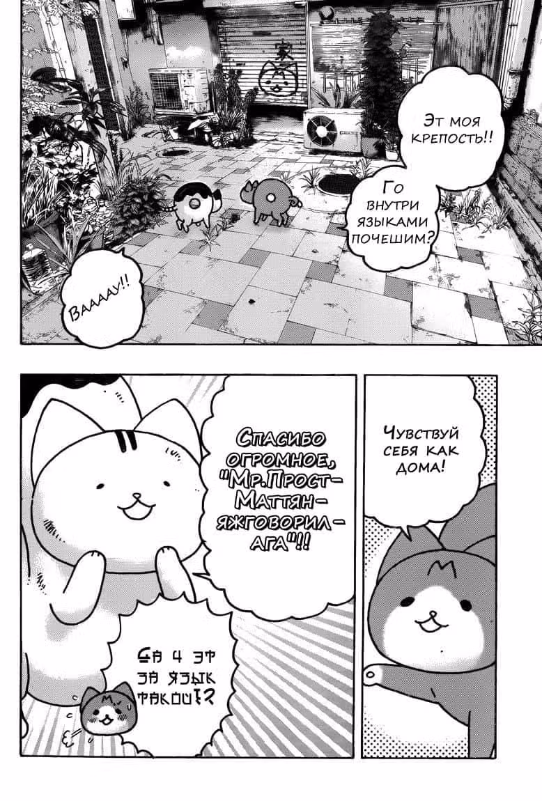 Котопончик — Том 4 · Глава 40, страница 11