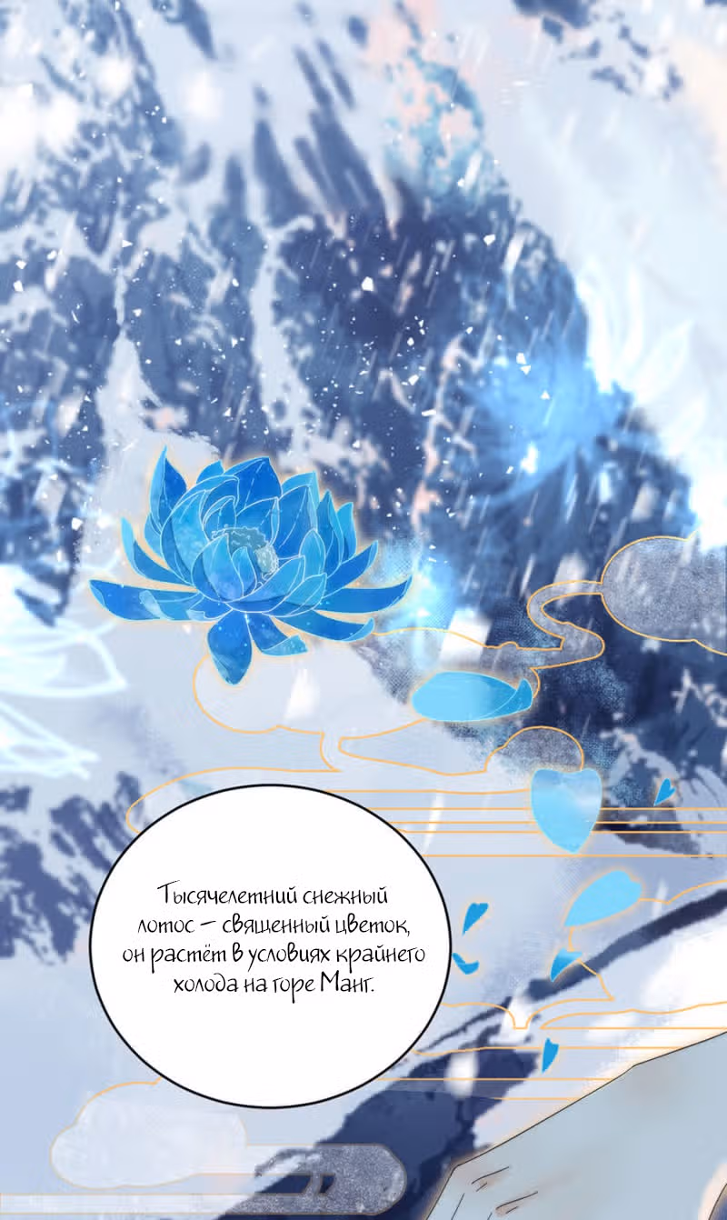 Ядовитый феникс — Том 1 · Глава 37, страница 3